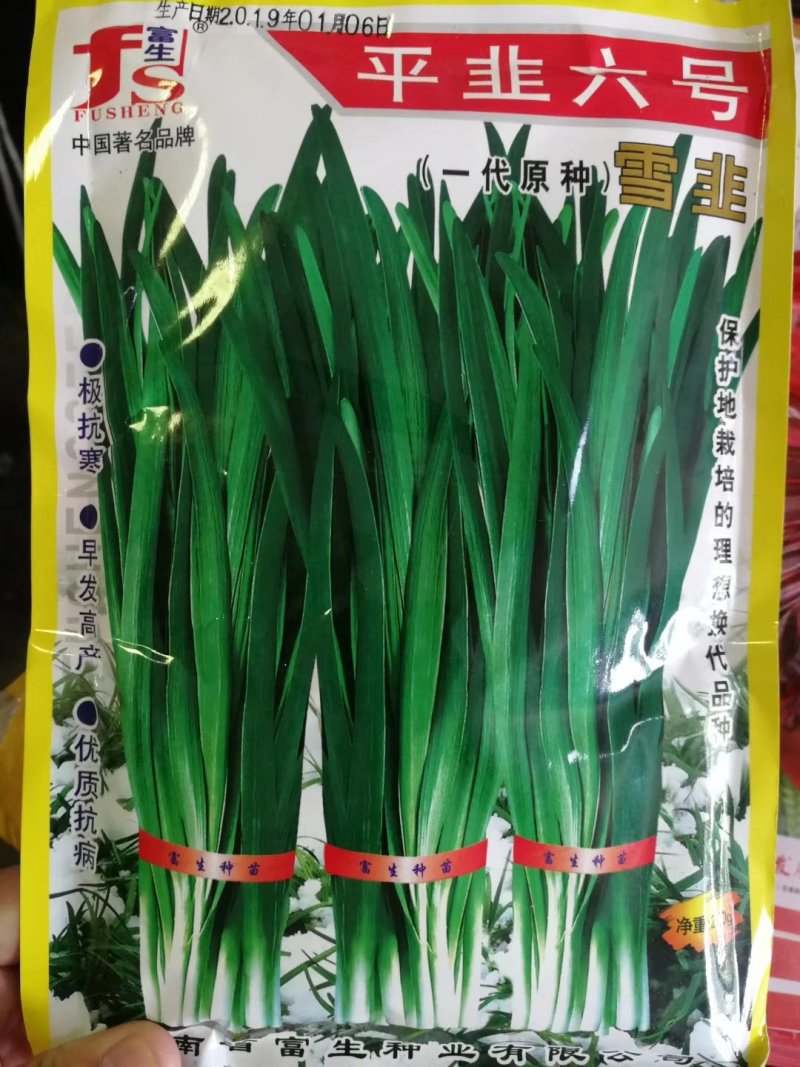 白根紫根红独根红绿根韭菜种子口感好产量高品质好抗性好
