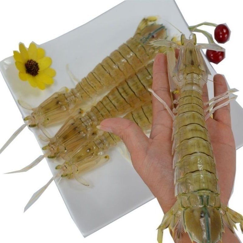 皮皮虾肉新鲜皮皮虾虾姑鲜剥