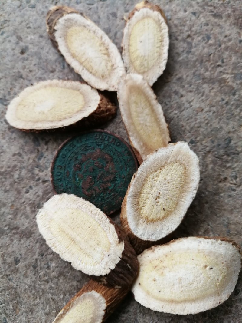 甘肃野生红芪，红芪段，新货，干品，包邮。