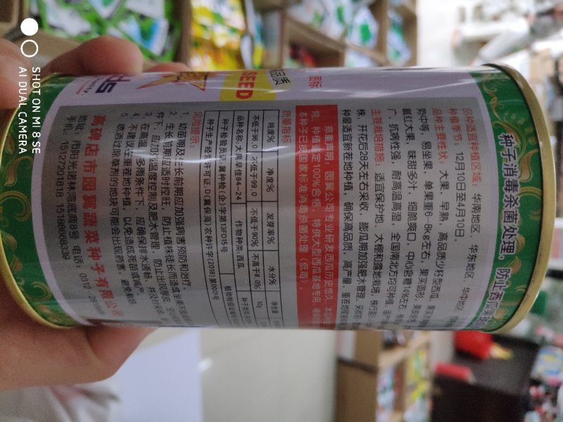 高纯大果早佳8424西瓜种子