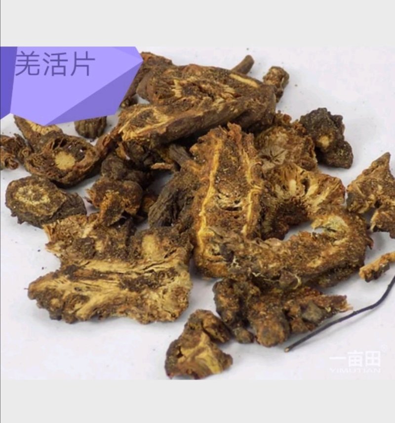羌活新种子，新种子，无杂质，90%发芽率，全国包邮。