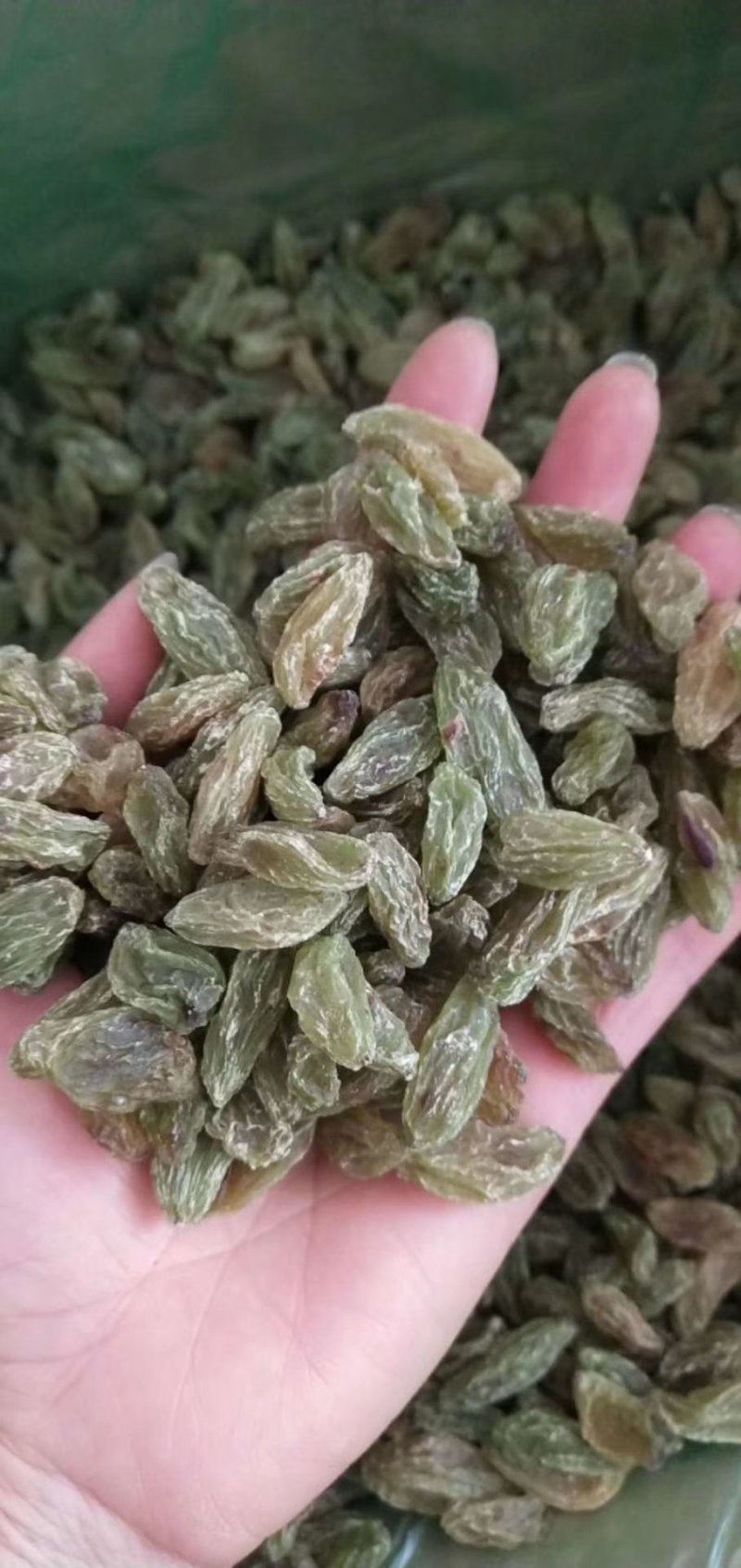 新疆葡萄干价格美丽漂亮
