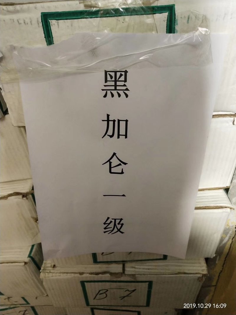 新疆葡萄干价格美丽漂亮
