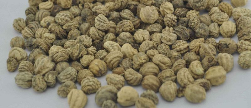旱金莲种子旱荷垂吊爬藤盆栽四季种易活室外花卉花种
