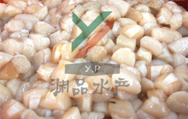 【渊品水产】养马岛海产品冰鲜原浆扇贝丁