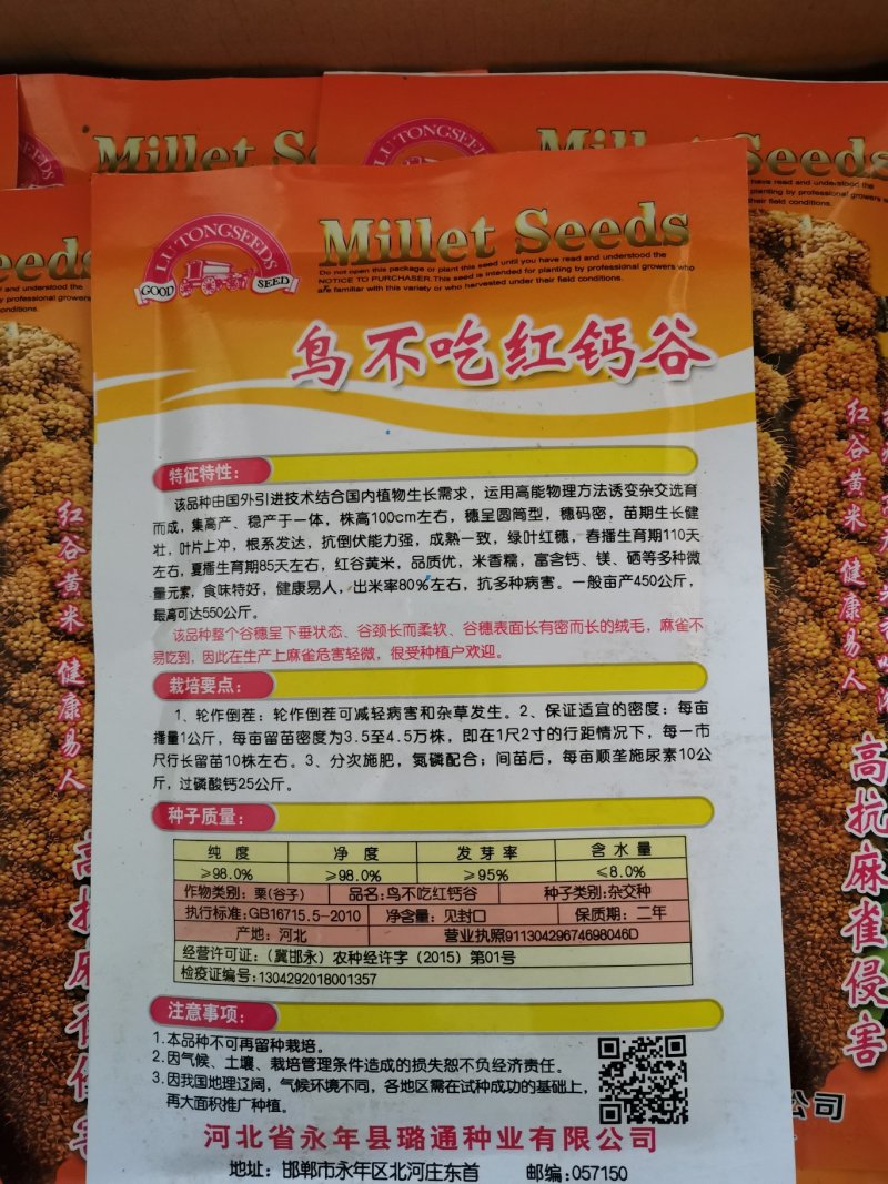 高产抗鸟鸟不吃红钙谷