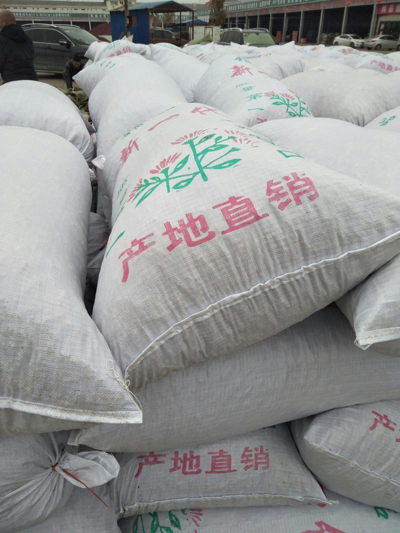 产地直供山东金乡红辣椒干辣椒特香天宇三樱椒辣椒面辣椒段