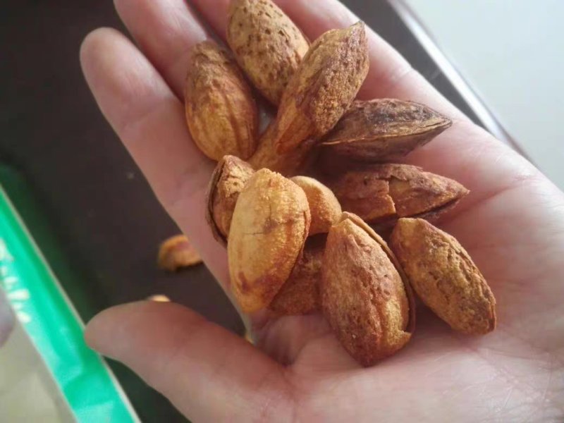 纸皮巴旦木新疆特产龙果奶油味零食250g