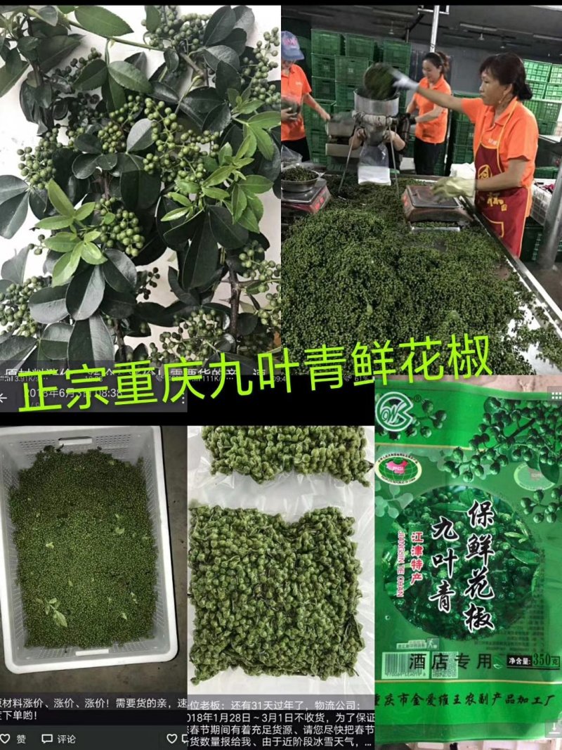 鲜花椒重庆特产餐厨