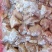 优质35克鸡胸肉块