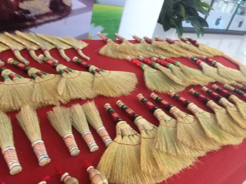 矮杆笤帚用高粱新品种抗病抗倒高产适应性强耐旱红帚1号