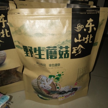 东北蘑菇