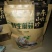 东北蘑菇