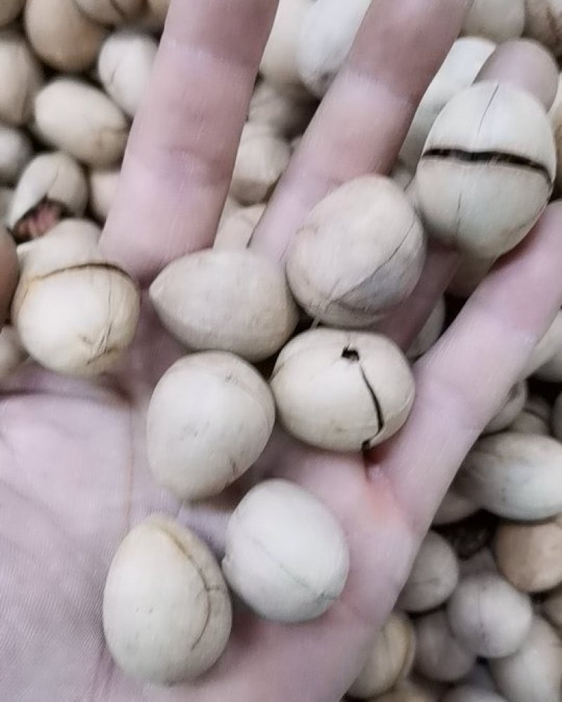 碧根果奶油味散装称斤原味美国核桃长寿果整箱10斤