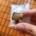 坚果脆混合每日坚果零食坚果糖香脆果仁独立包装