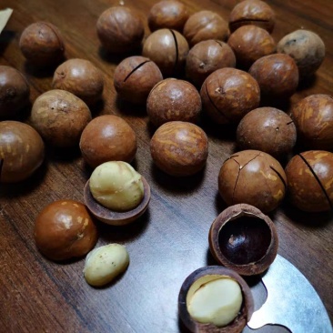 夏威夷果新疆特产干果奶油味坚果218g