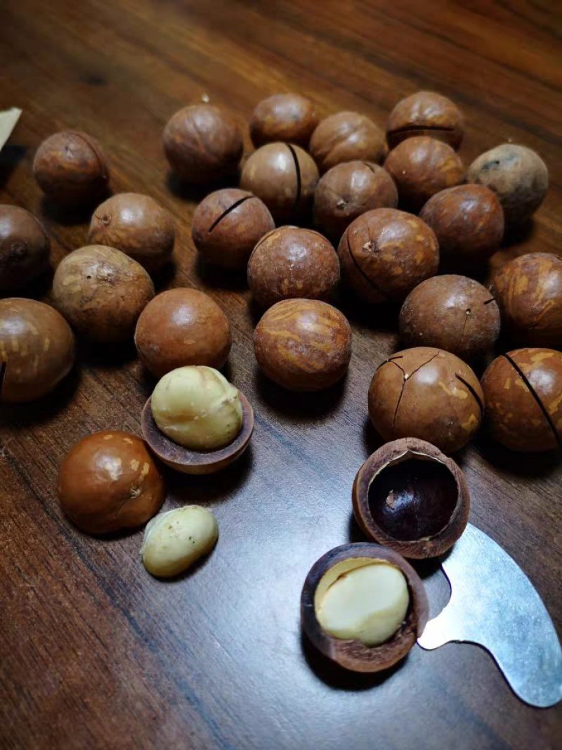 夏威夷果新疆特产干果奶油味坚果218g