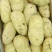 土豆希森V7，Ev系列土豆大量供应，产地直销，一手货源。