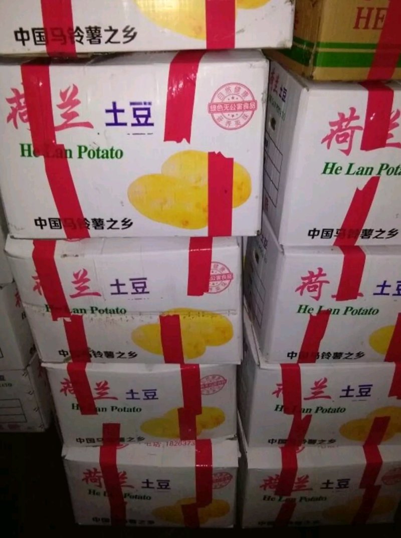 土豆希森V7，Ev系列土豆大量供应，产地直销，一手货源。