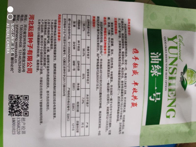 油绿一号秋葵种子高产翠绿水果秋葵种籽抗病秋葵种子
