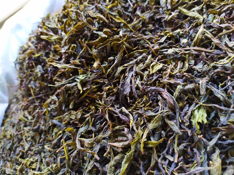 黄旦茶土山茶惠来八仙茶黄桂茶高山茶高香土山茶1斤黄旦茶叶