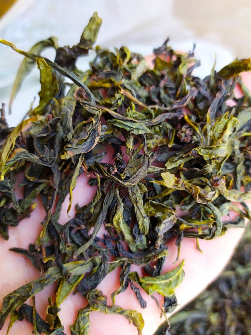 黄旦茶土山茶惠来八仙茶黄桂茶高山茶高香土山茶1斤黄旦茶叶