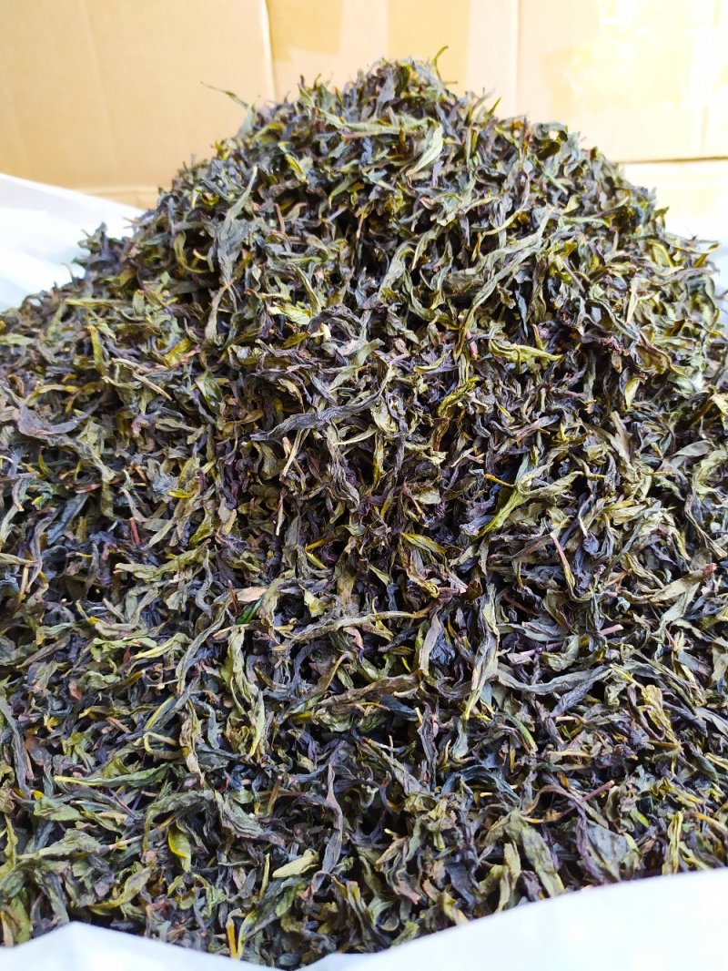 黄旦茶土山茶惠来八仙茶黄桂茶高山茶高香土山茶1斤黄旦茶叶