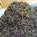 黄旦茶土山茶惠来八仙茶黄桂茶高山茶高香土山茶1斤黄旦茶叶