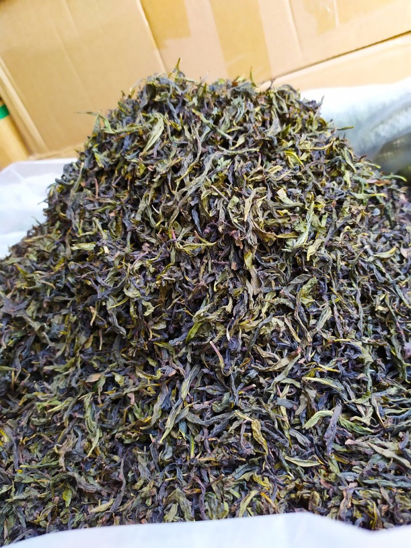 黄旦茶土山茶惠来八仙茶黄桂茶高山茶高香土山茶1斤黄旦茶叶