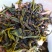 黄旦茶土山茶惠来八仙茶黄桂茶高山茶高香土山茶1斤黄旦茶叶
