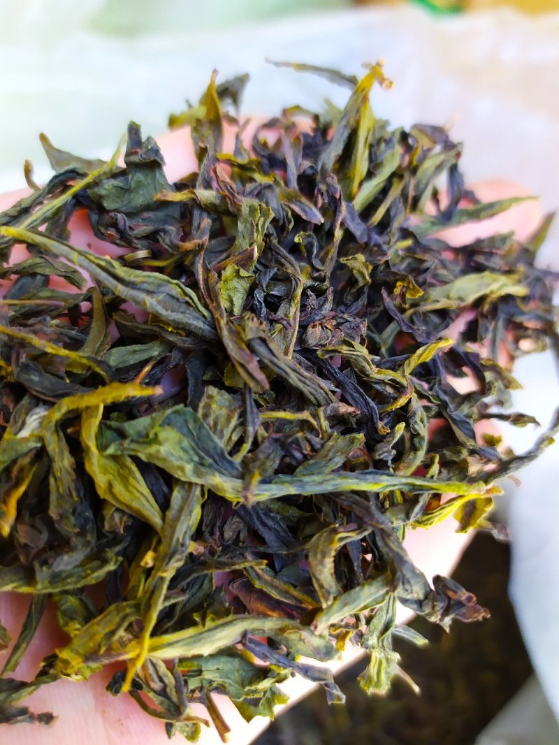 黄旦茶土山茶惠来八仙茶黄桂茶高山茶高香土山茶1斤黄旦茶叶