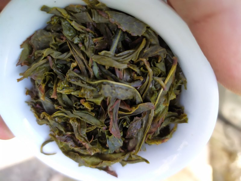 黄旦茶土山茶惠来八仙茶黄桂茶高山茶高香土山茶1斤黄旦茶叶