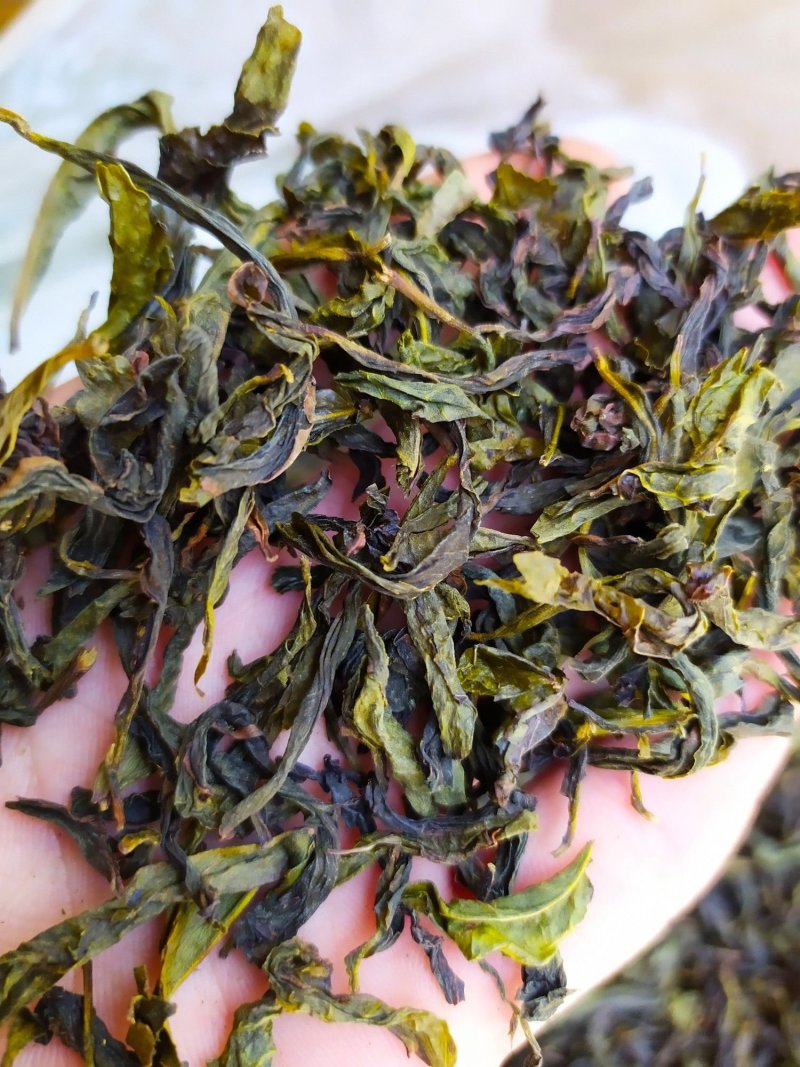 黄旦茶土山茶惠来八仙茶黄桂茶高山茶高香土山茶1斤黄旦茶叶