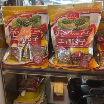 巴西松子