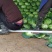 扁包菜大量供货基地自产自销市场货加工厂货都有