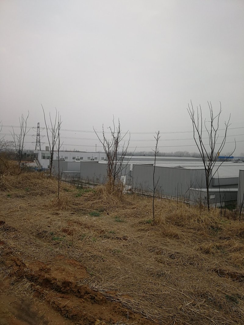 发酵鸡粪湖北黄冈厂家直销