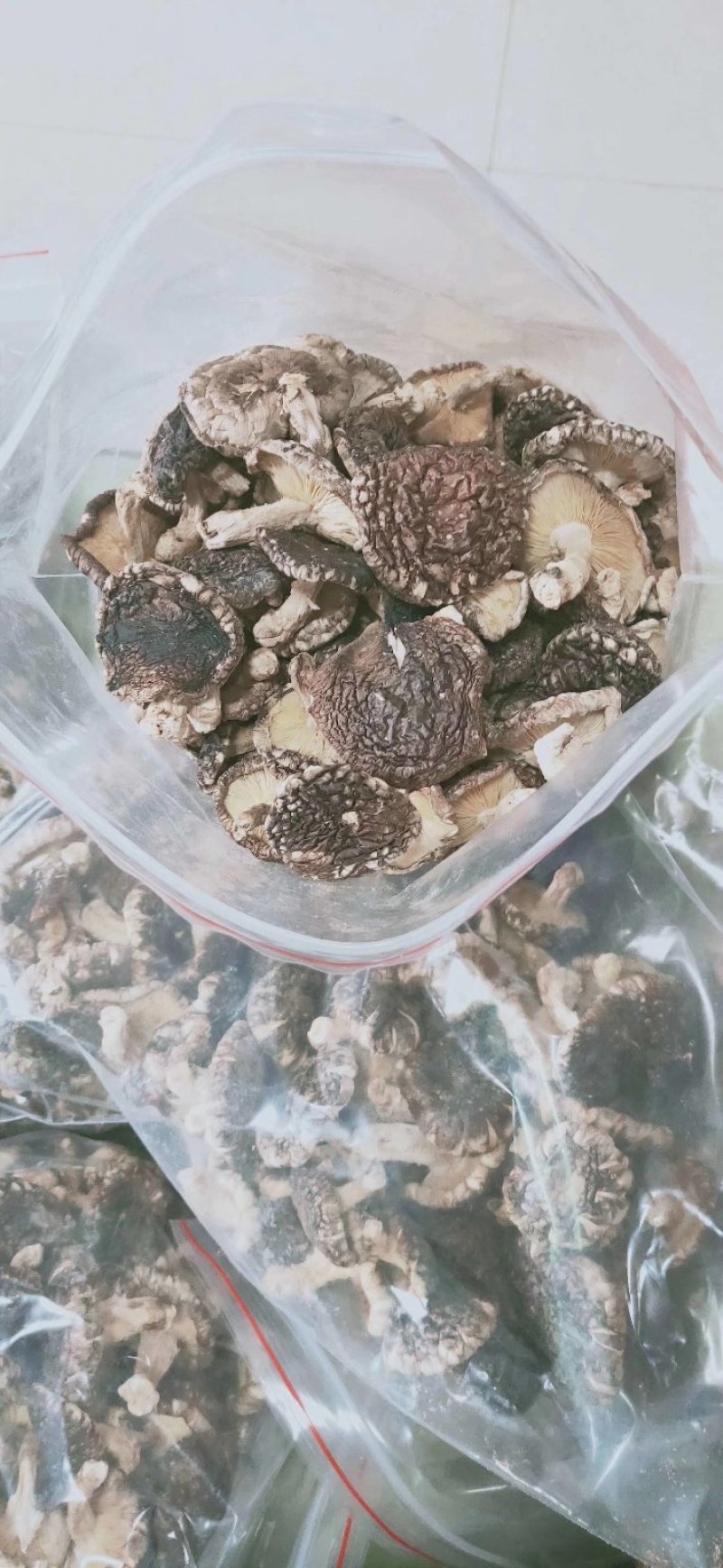 纯绿色香菇热卖中经过风吹雨打正宗野生
