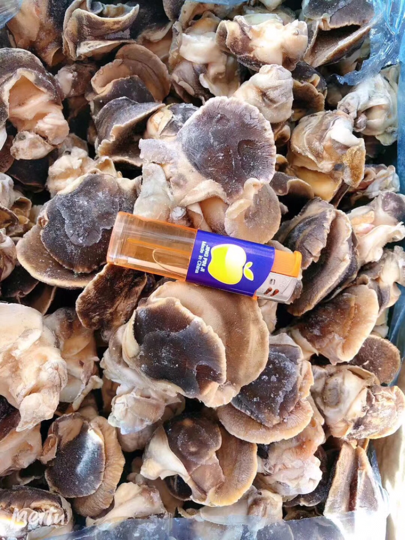 单冻深海域海螺肉去内脏纯肉