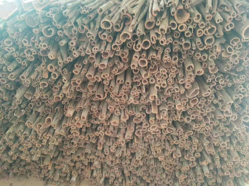 大量批发无硫足干桂皮无碎片广西梧州货源