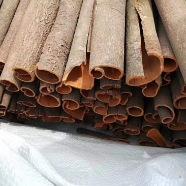 大量批发无硫足干桂皮无碎片广西梧州货源