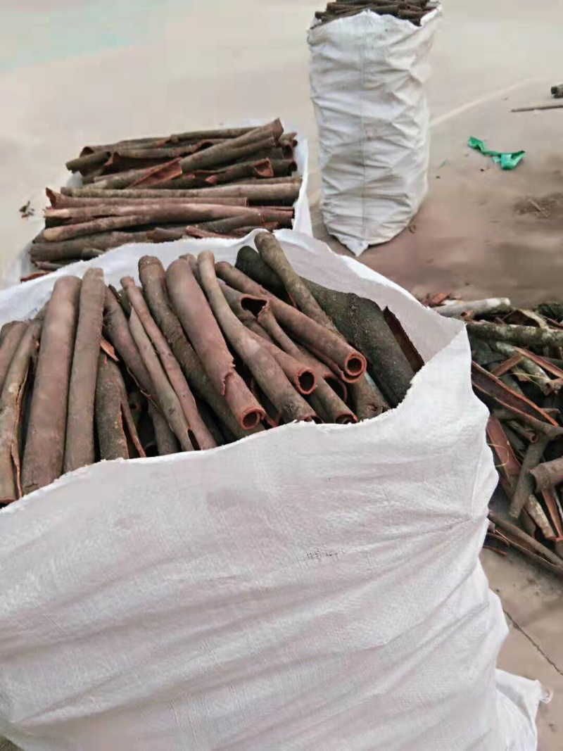 大量批发无硫足干桂皮无碎片广西梧州货源