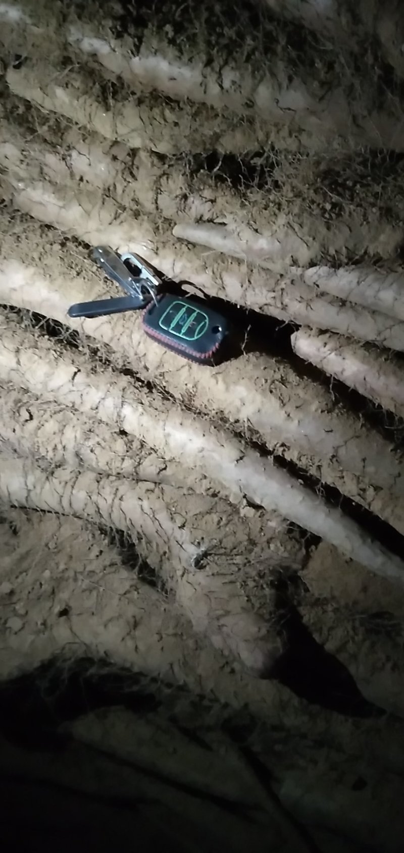 佛手山药整身饼子大量有货