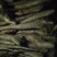 佛手山药整身饼子大量有货