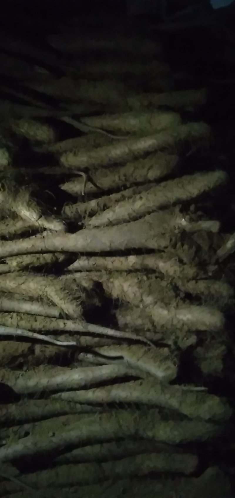 佛手山药整身饼子大量有货