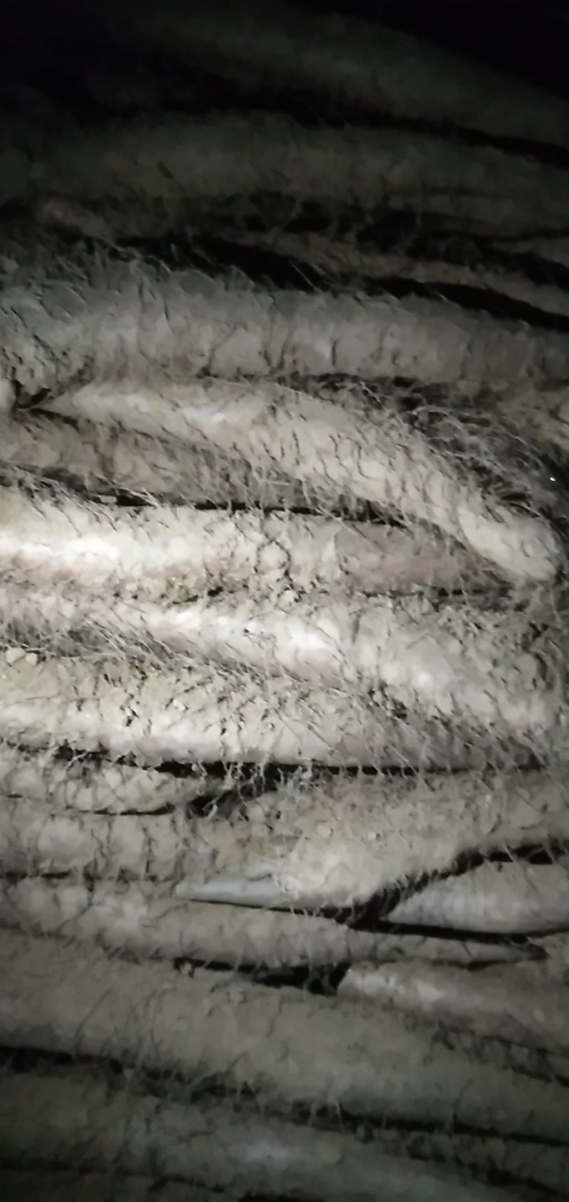 佛手山药整身饼子大量有货