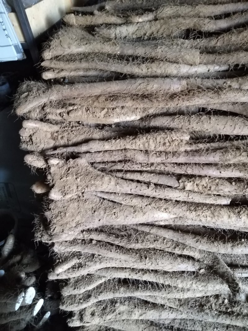 佛手山药整身饼子大量有货