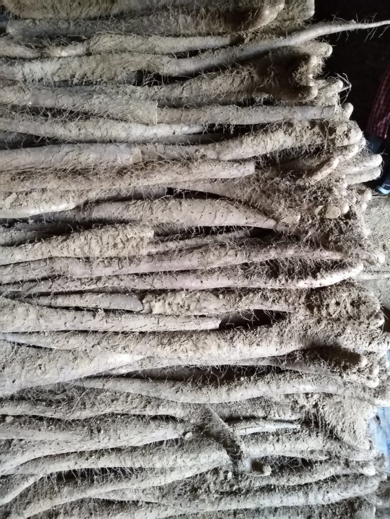 佛手山药整身饼子大量有货
