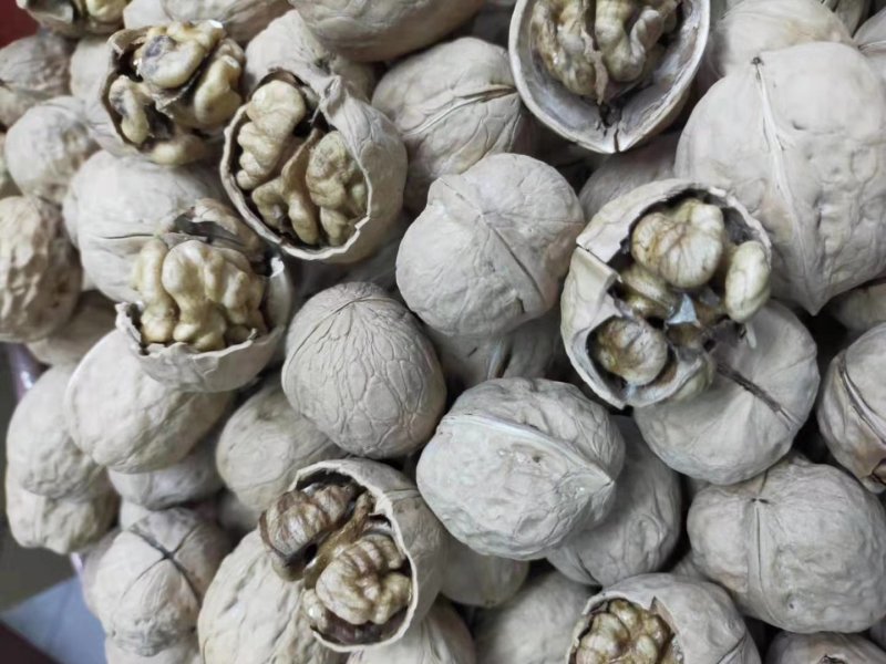 新疆中个核桃～纸皮仁白皮薄～口感香脆