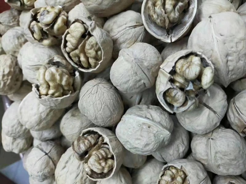 新疆中个核桃～纸皮仁白皮薄～口感香脆