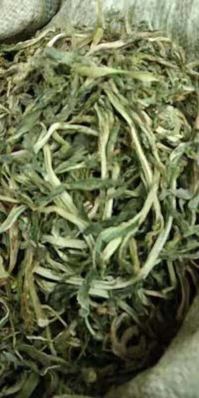 贡菜干菜～口味鲜香好产品～质量好
